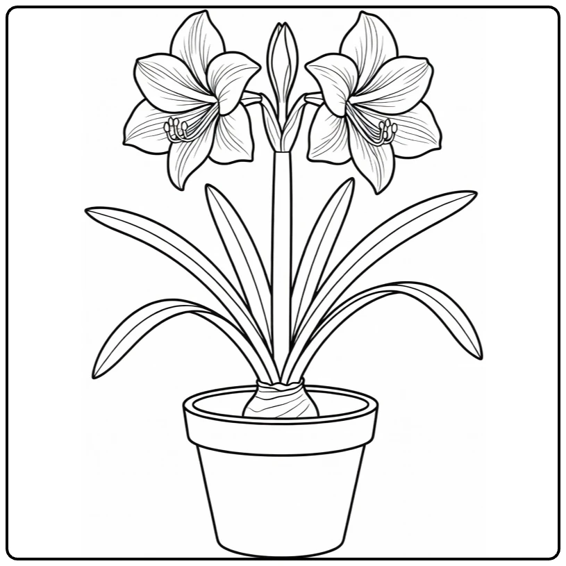 amaryllis kleurplaat met twee bloemen in ronde pot