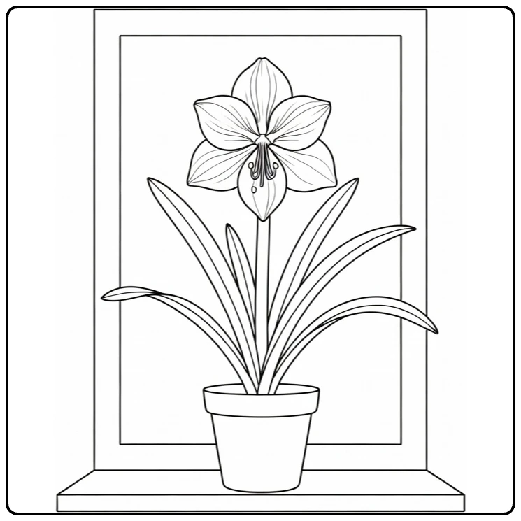 Amaryllis kleurplaat met bloem op vensterbank
