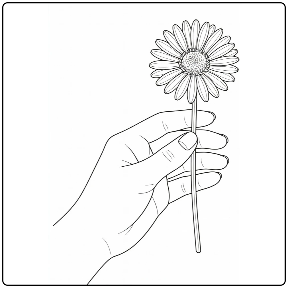 Aster kleurplaat met hand die aster bloem vasthoudt