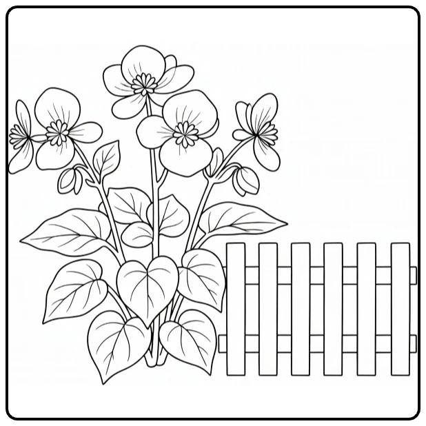 Begonia kleurplaat met bloem naast houten hek