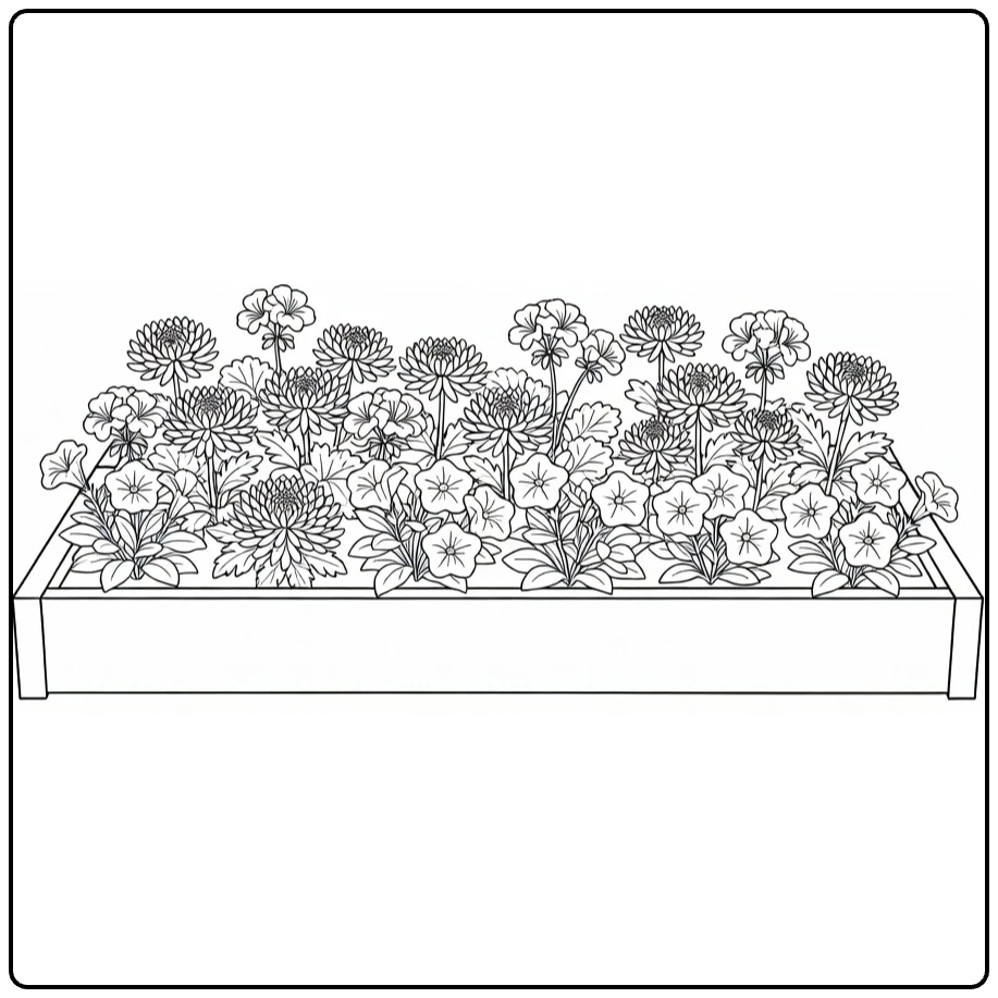 bloementuin kleurplaat met chrysanten, geraniums en petunia's