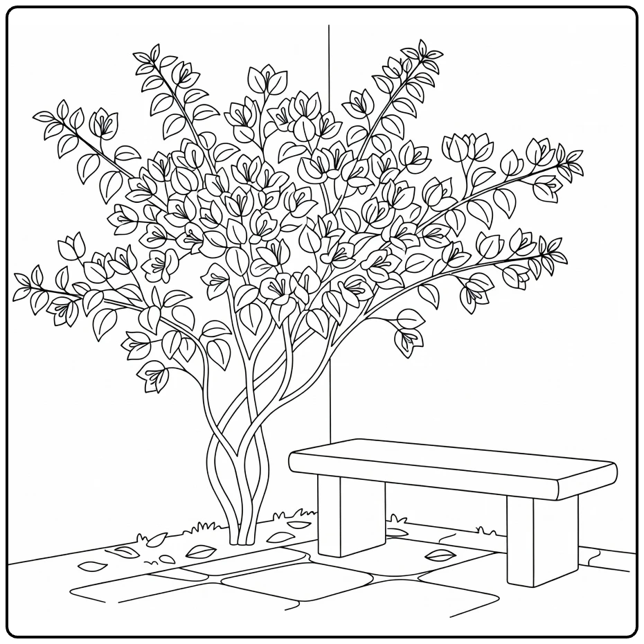 bougainvillea kleurplaat met struik naast bank in binnenplaats