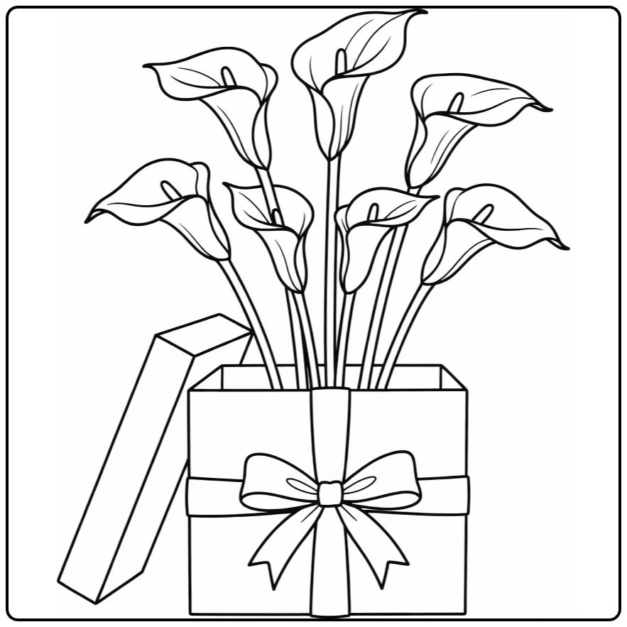 calla lelie kleurplaat met lelies in open geschenkdoos