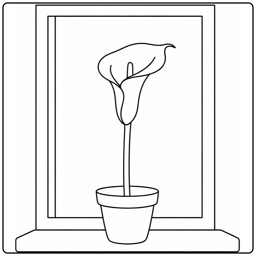 calla lelie kleurplaat lelie in pot op vensterbank