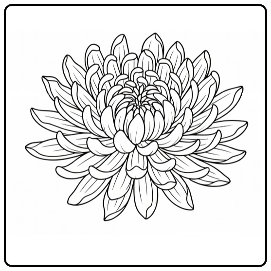 Chrysant kleurplaat met chrysant op wenskaart centraal