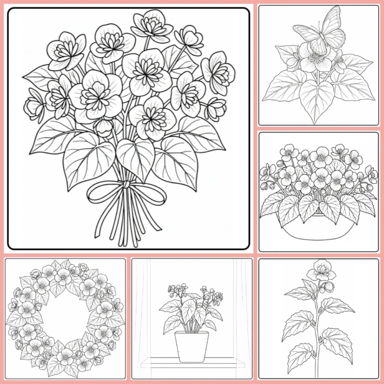 Gratis Begonia Kleurplaten Om Te Printen PDF Voor Alle