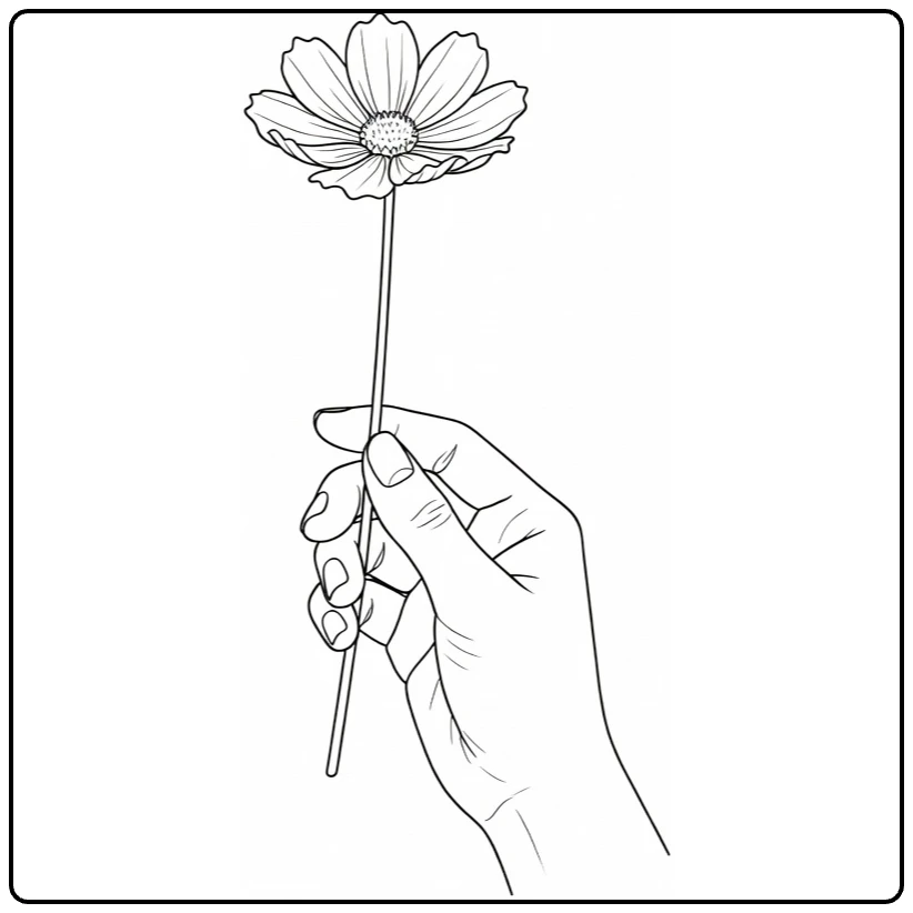 cosmos bloem kleurplaat met hand die bloem vasthoudt