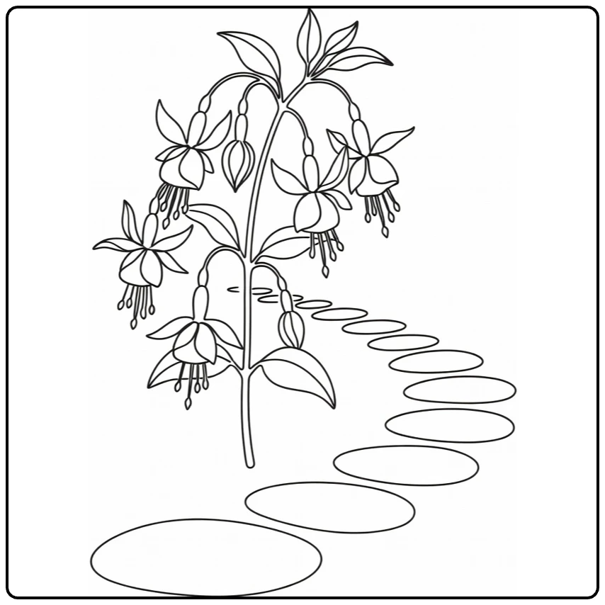 Fuchsia kleurplaat met plant langs tuinpad en stapstenen