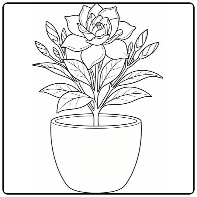 Gardenia kleurplaat met plant in ronde pot en bloem