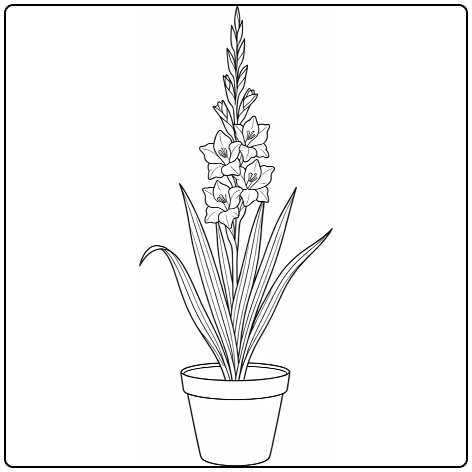 gladiool kleurplaat met plant in ronde pot en bladeren