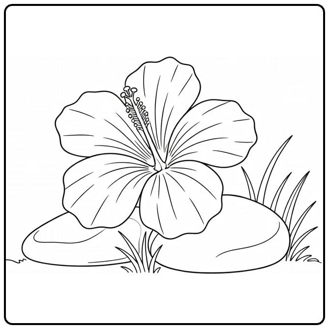 Hibiscus kleurplaat met bloem naast tuinsteen en gras