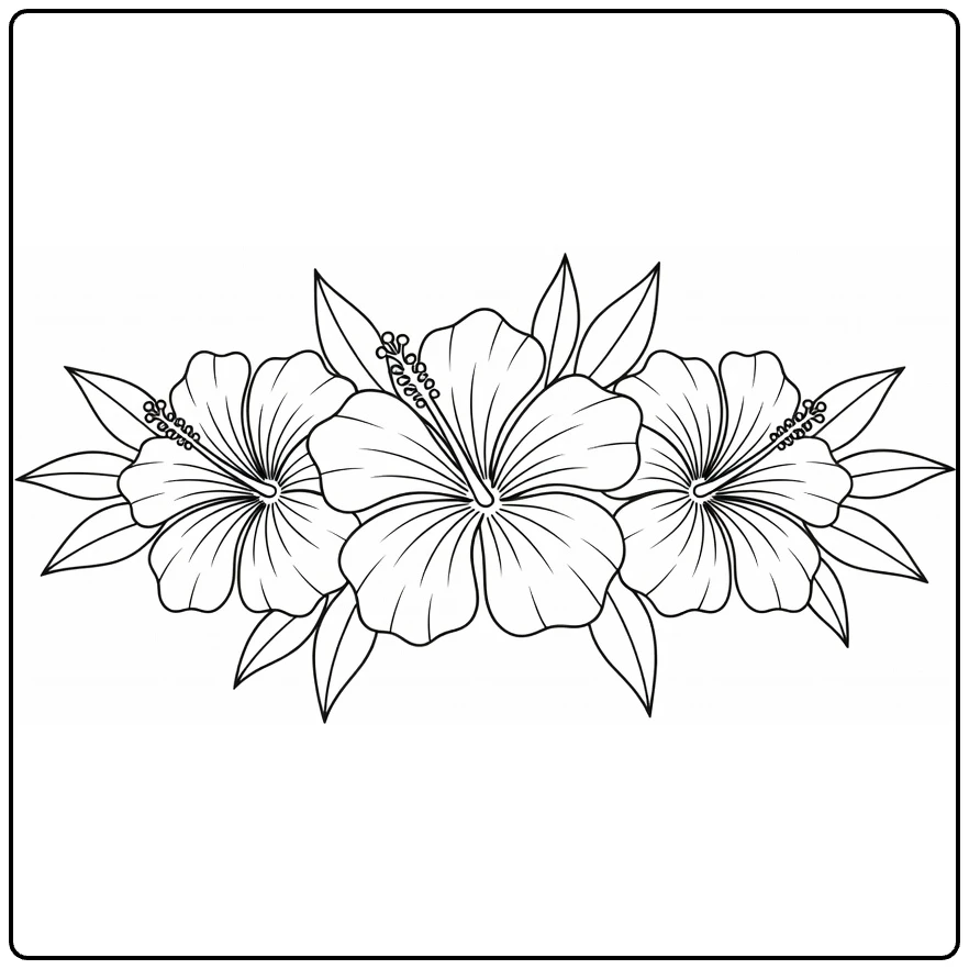 Hibiscus kleurplaat met drie grote bloesems en bladeren