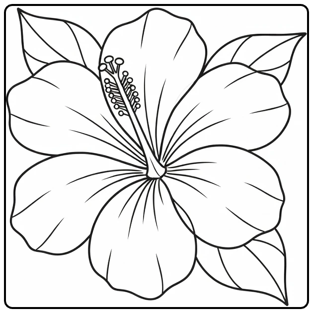 Hibiscus kleurplaat close-up bloem met vijf petalen en bladeren