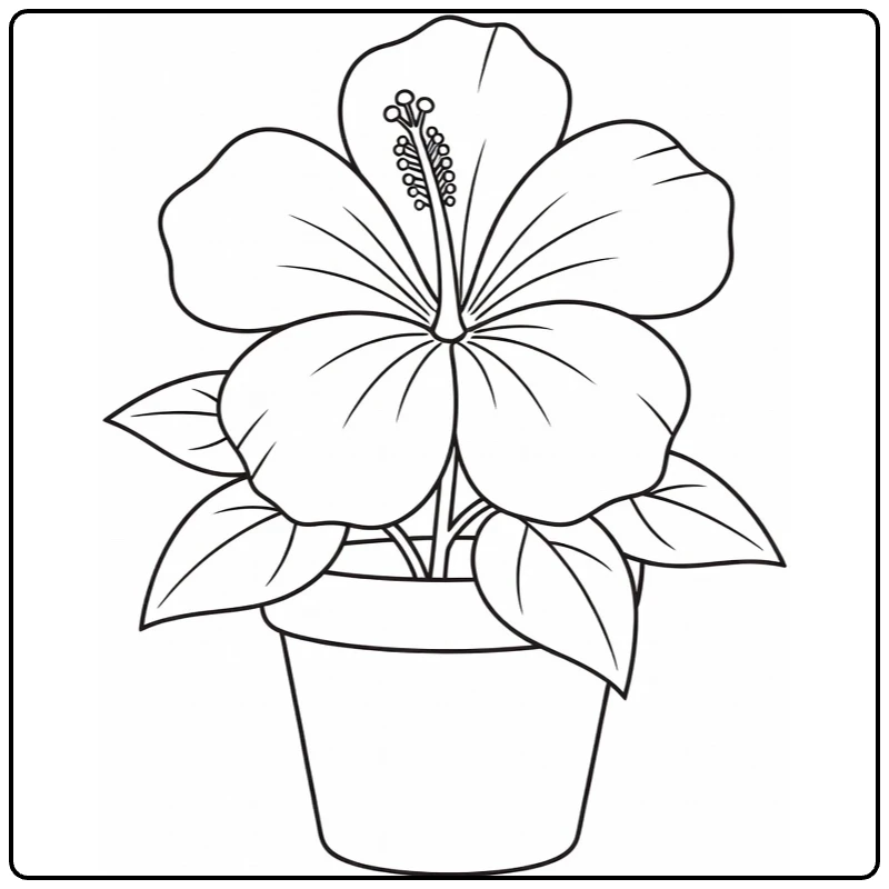 Hibiscus kleurplaat met bloem in pot en bladeren