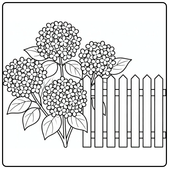 hortensia kleurplaat met struik naast houten tuinhek
