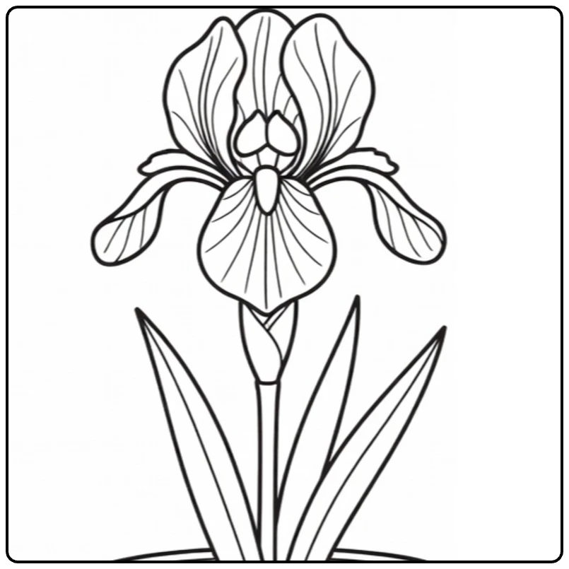 iris kleurplaat van iris bloem in decoratieve pot