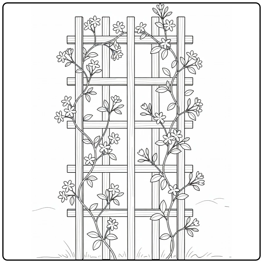 jasmijn kleurplaat met klimplant rond houten trellis