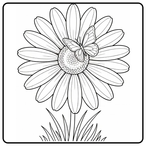 Madelief kleurplaat met vlinder op bloem en gras