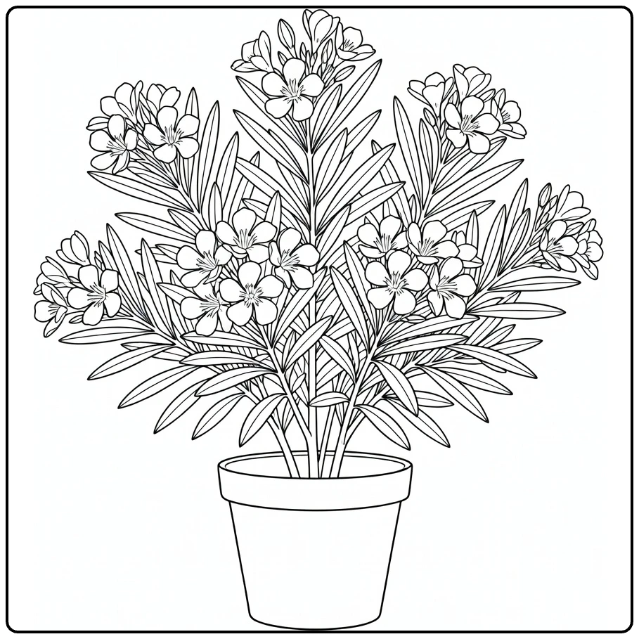 oleander kleurplaat met bloeiende struik in pot