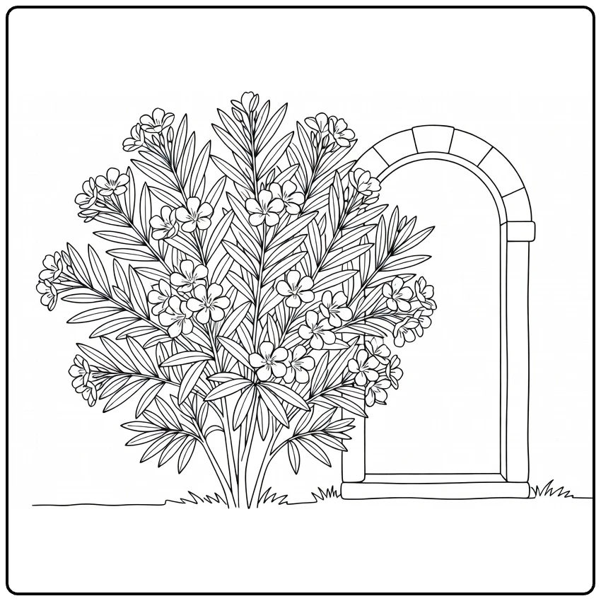 oleander kleurplaat met struik bij boogdeur mediterrane stijl