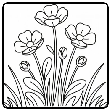 ranonkel kleurplaat met drie bloemen in een weiland