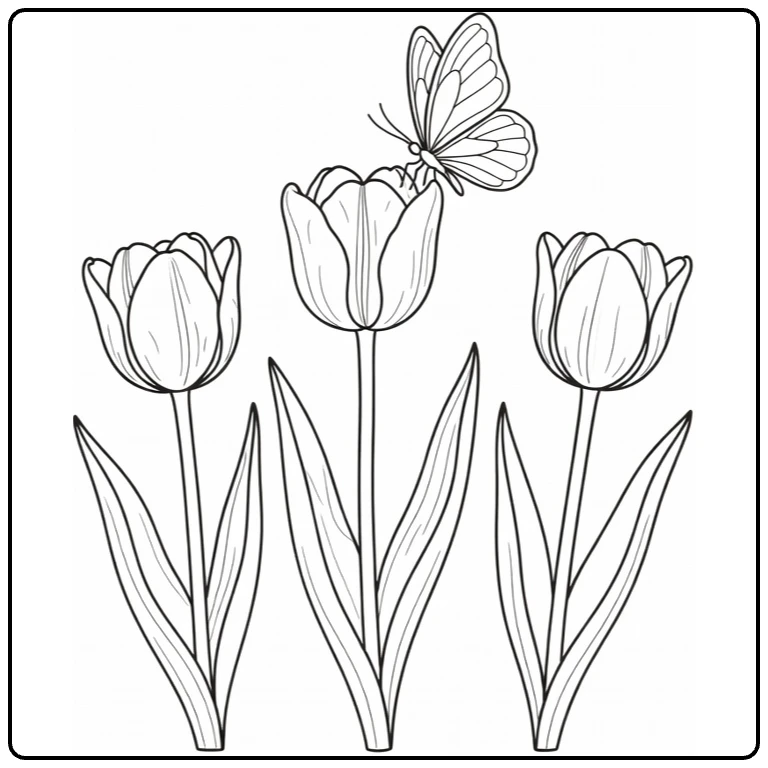 tulp kleurplaat met vlinder op tulp en twee tulpen