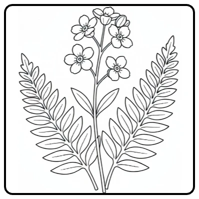 Vergeet mij nietje kleurplaat met varenbladeren botanisch