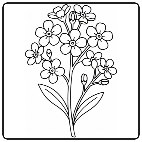 vergeet mij nietje kleurplaat delicate bloemen op stengel