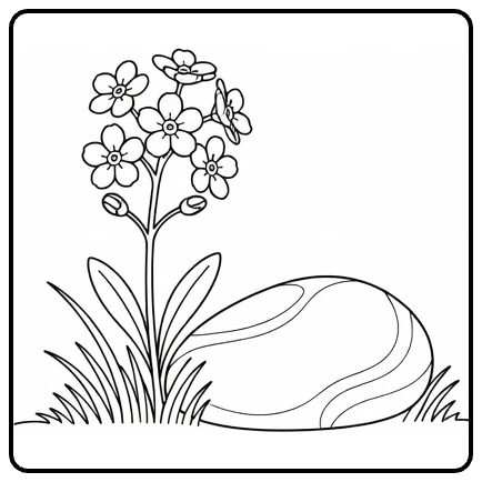 vergeet mij nietje kleurplaat met plantje naast tuinsteen