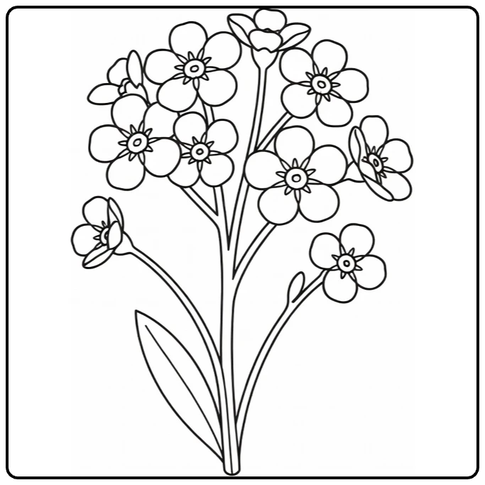 vergeet mij nietje kleurplaat met kleine bloesems op stelen
