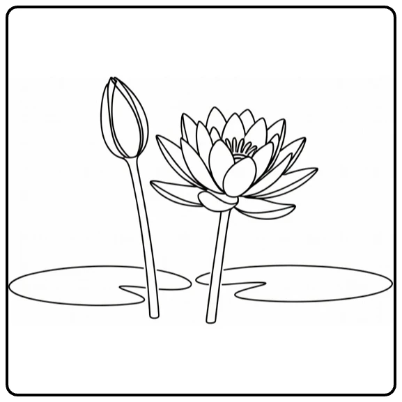 Waterlelie kleurplaat met bloem en knop in vijver