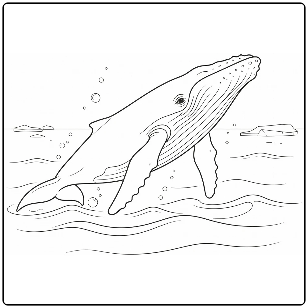Bultrug Kleurplaat walvis met lange vinnen bij zee
