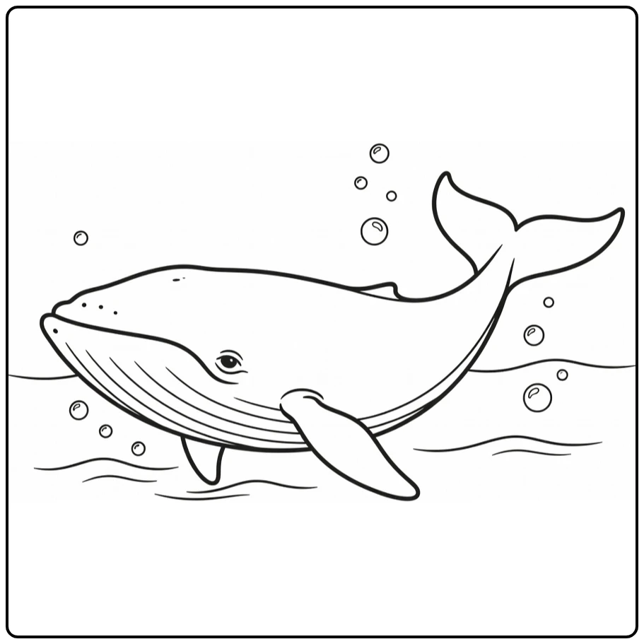 Walvis Kleurplaat met walvis bij oceaanoppervlak