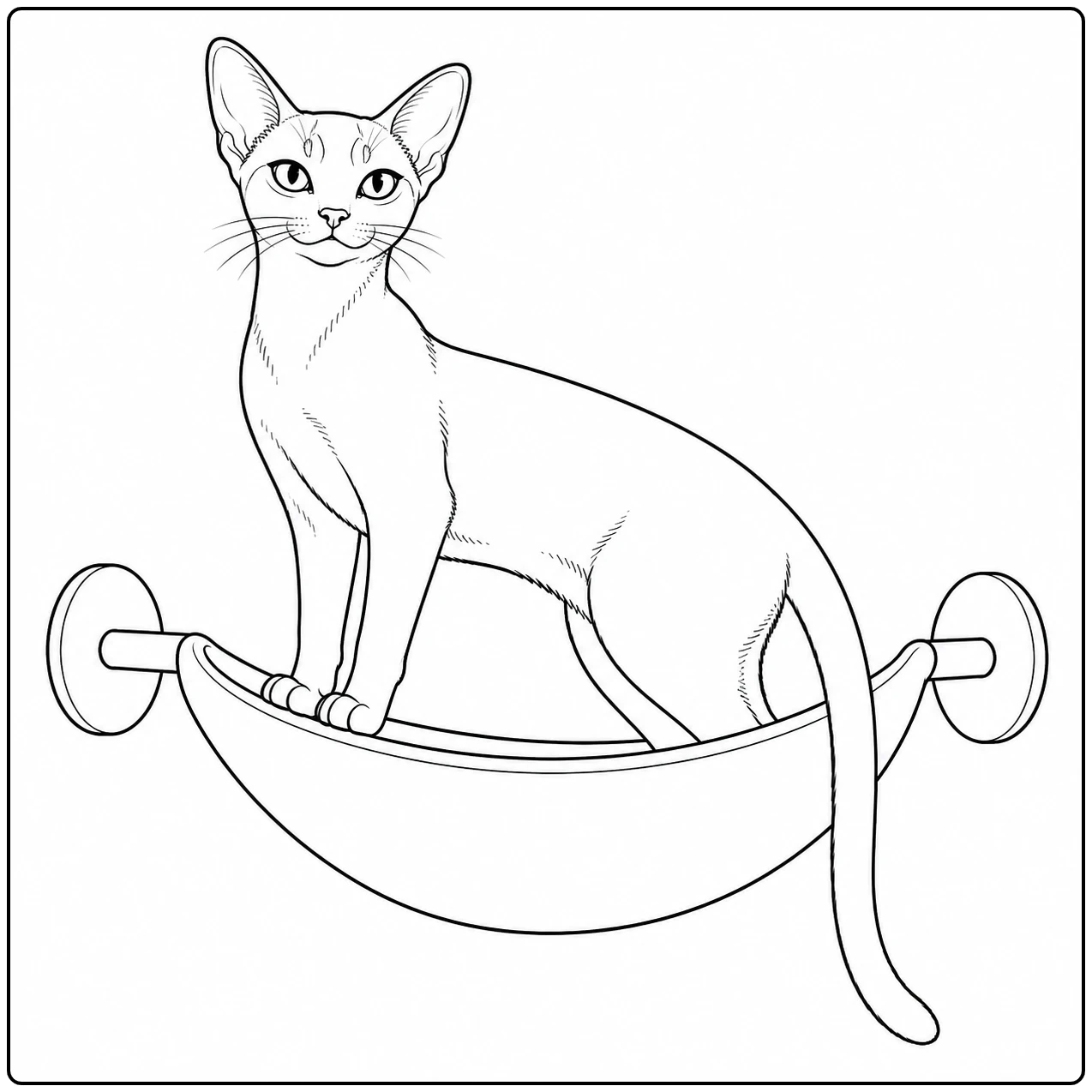 kleurplaat abessijn met een slanke kat die rechtop op een gebogen hangmat zit.