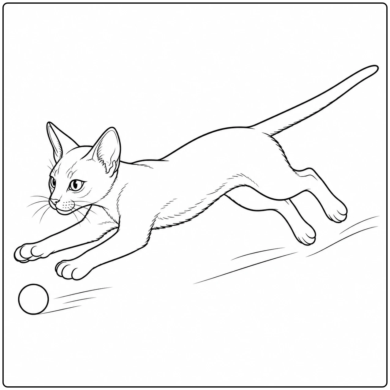 Een energieke kat springt laag over de grond en strekt beide voorpoten uit naar een bal.