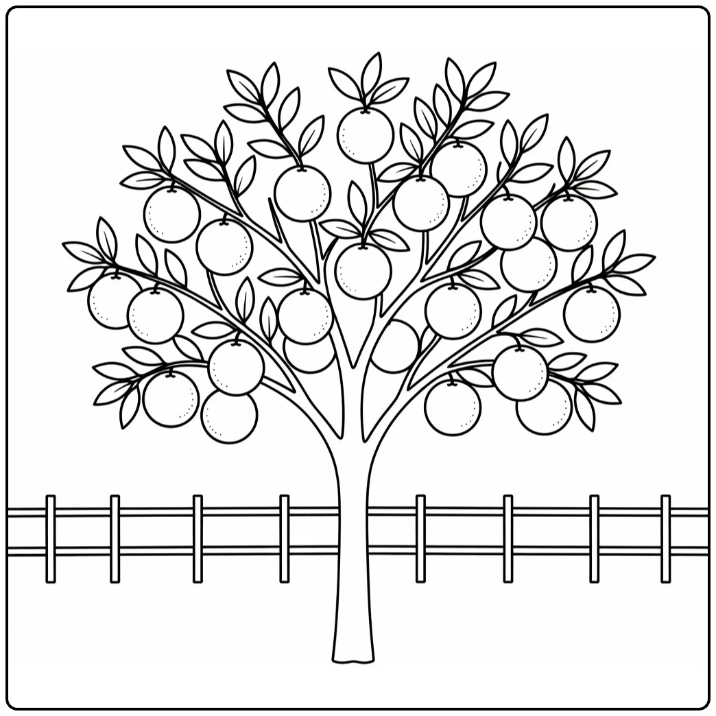 Fruitbomen Kleurplaat grapefruitboom met laaghangend fruit