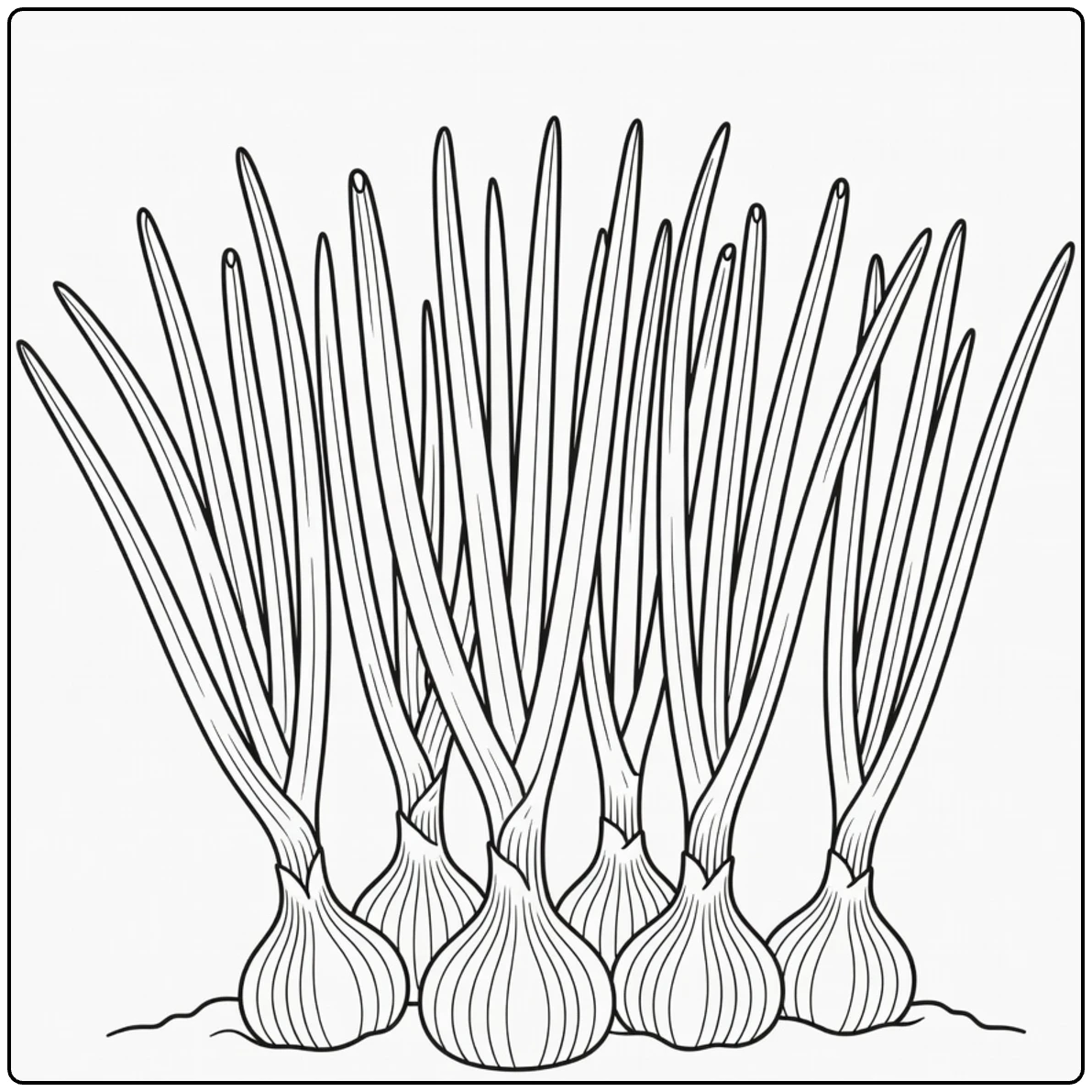 Groenteplanten Kleurplaat met uiplanten en bollen