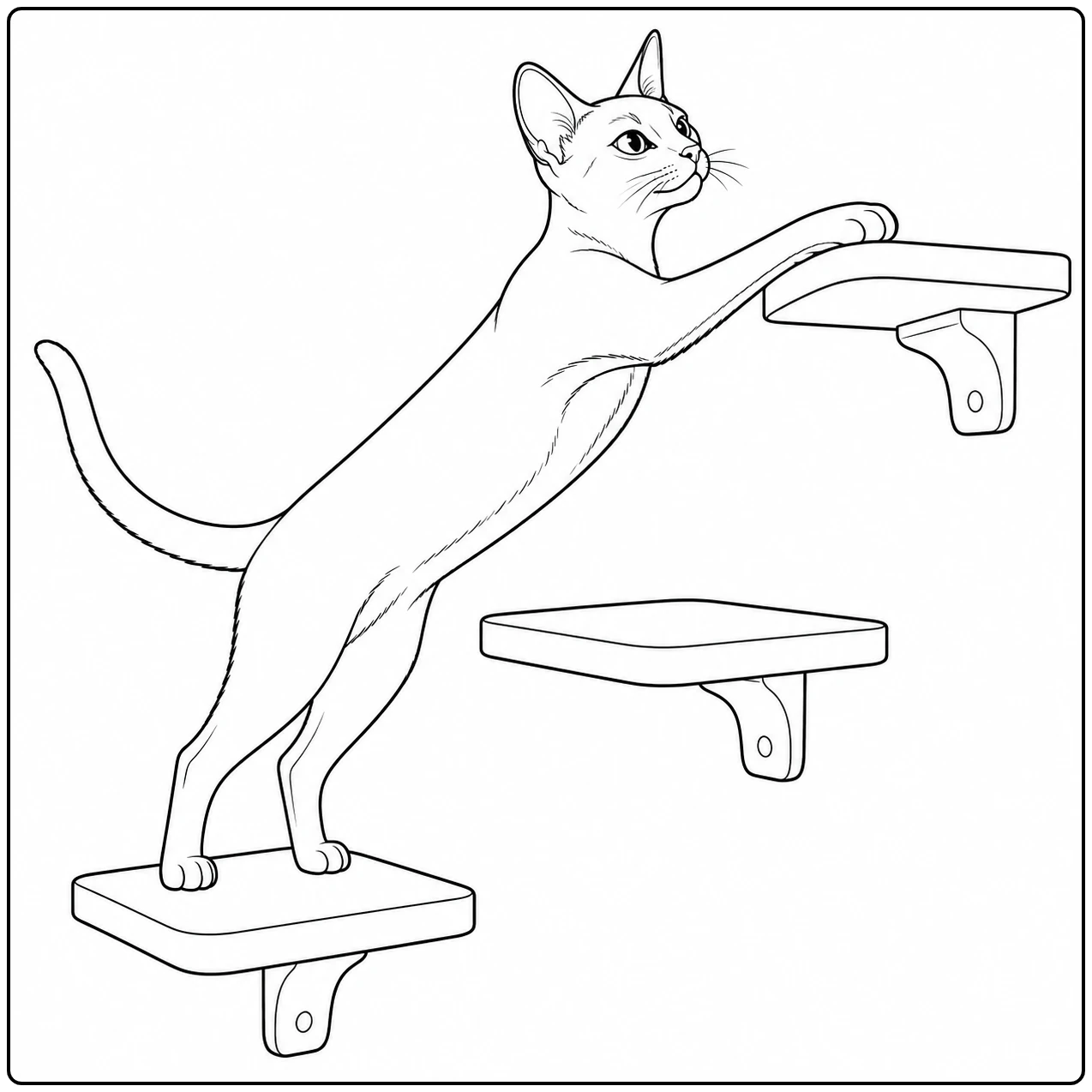 Een lenige abessijn klimt via drie wandplanken omhoog met de voorpoten op de hoogste plank.