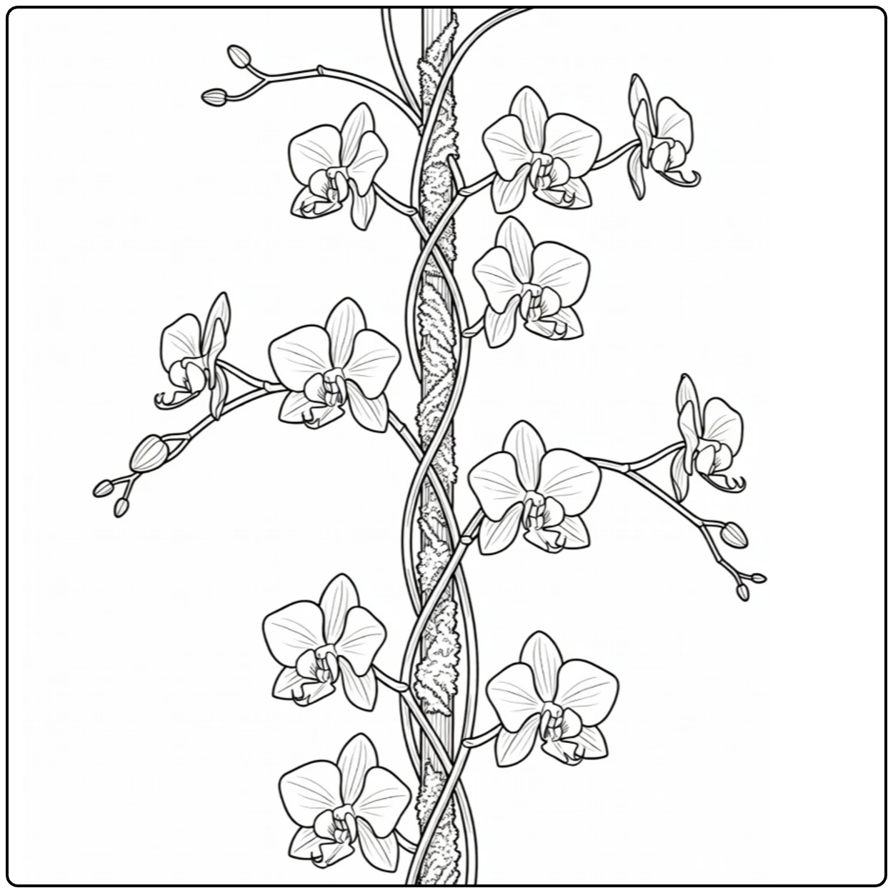 Klimplanten Kleurplaat van vanille orchidee op paal