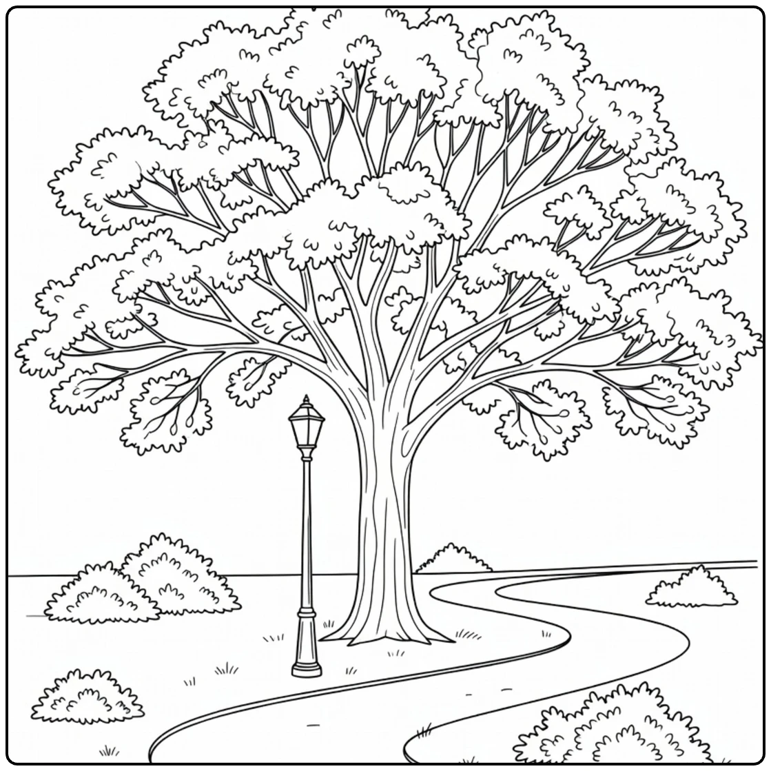 Schaduwbomen Kleurplaat iep bij parkpad met lamp