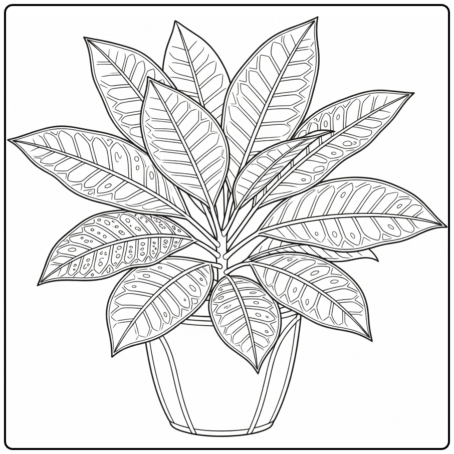 Sierplanten Kleurplaat croton met brede bladeren in pot