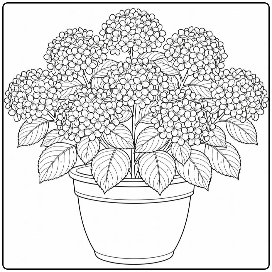 Sierplanten Kleurplaat hortensia struik in keramische pot