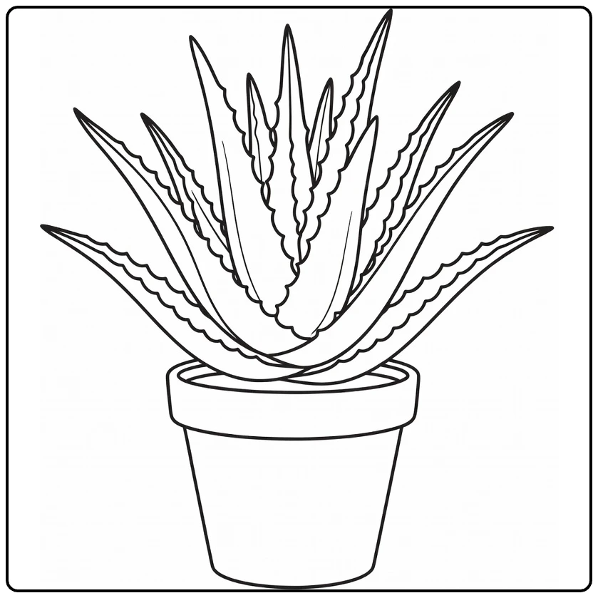 Sierplanten Kleurplaat aloë in terracotta pot
