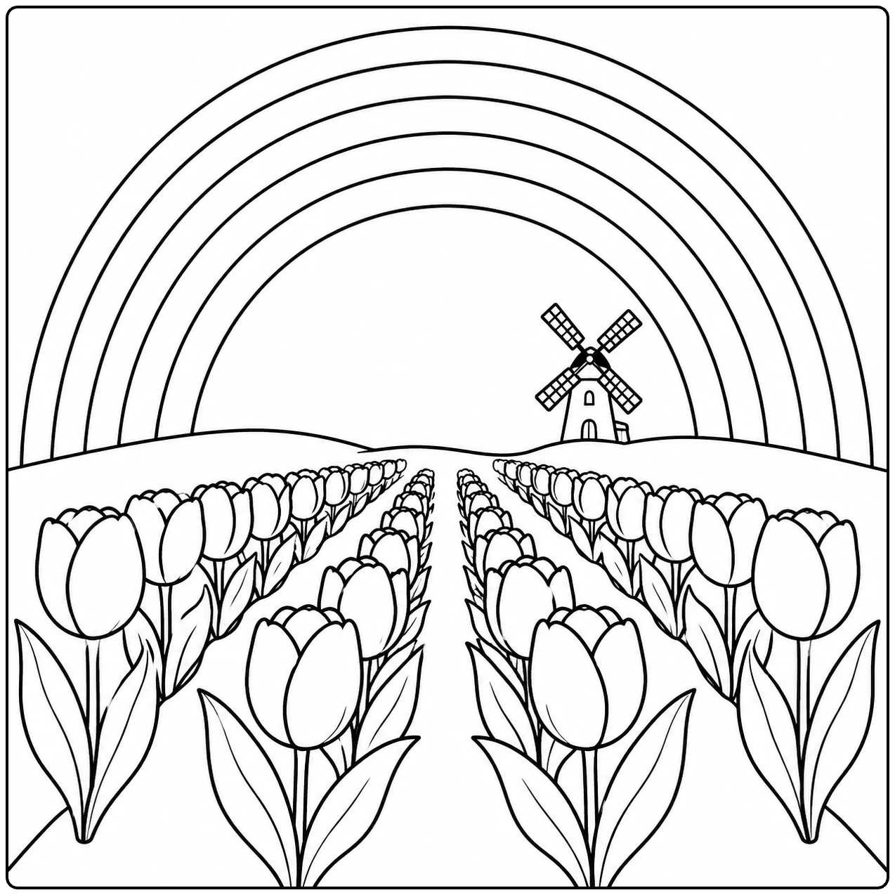 Tulpenveld met lange bloemenrijen die naar een molen onder een regenboog leiden