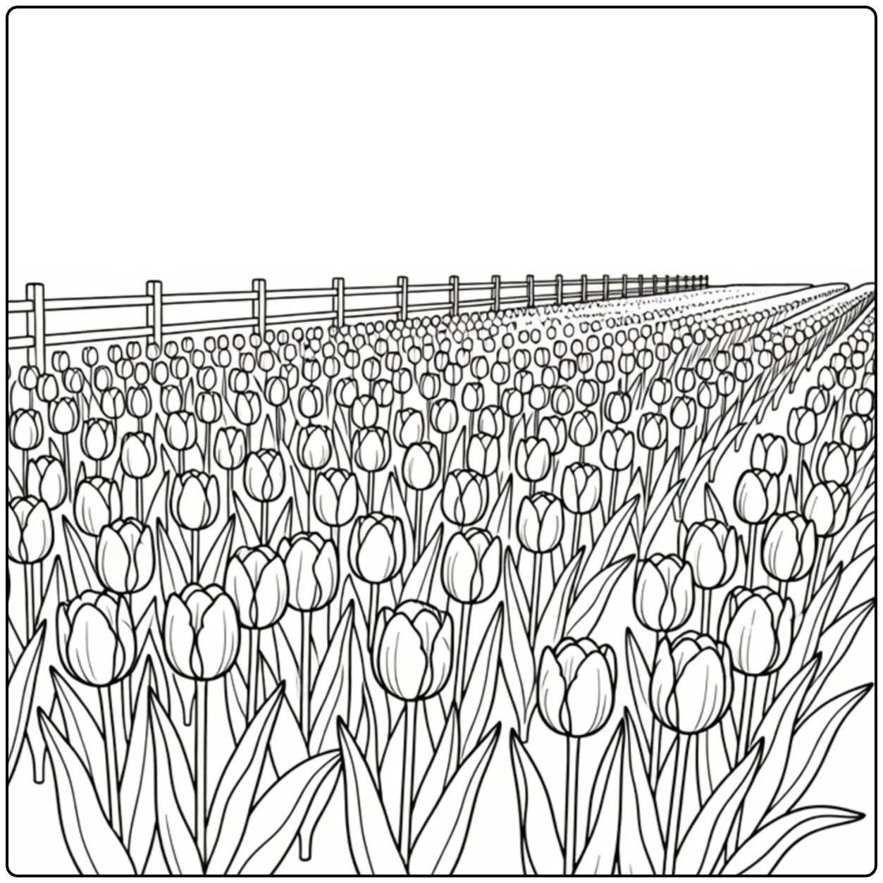 Veld Kleurplaat van bloeiende tulpen met houten hek