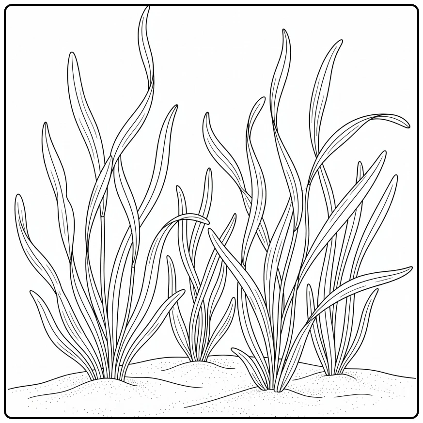 Waterplanten Kleurplaat met vallisneria op zandbodem