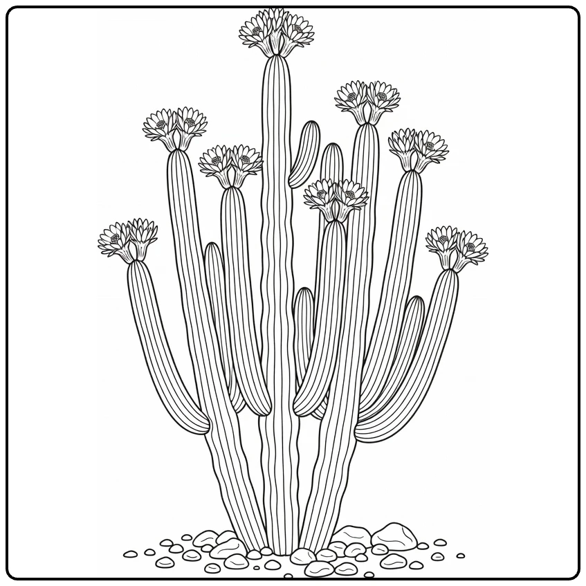 Woestijnplanten Kleurplaat orgelpijpcactus met bloemen