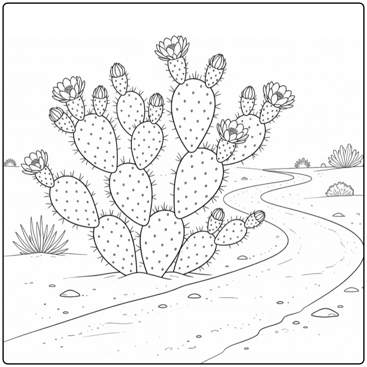 Woestijnplanten Kleurplaat met cactus en bloemen langs zandpad